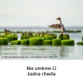 PL_SEL600_06 obowiazkowe.jpg