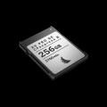 karta-pamieci-angelbird-av-pro-se-cfexpress-b-v4-mk2-256gb_07.jpeg