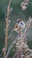 DSC02302-Poprawione-Szum.jpg