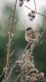 DSC02334-Poprawione-Szum.jpg