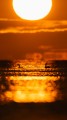 DSC08677-Poprawione-Szum.jpg