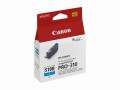 canon-imageprograf-pro-310_13.jpeg