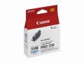 canon-imageprograf-pro-310_31.jpeg