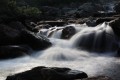canon-eos-r8-mark-ii_3.jpg