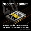 karta-pamieci-lexar-cfexpress-pro-gold-r3600-w3300-256gb_02.jpg