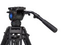 BV8_Head_Rear34.jpg