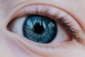 obiektyw-venus-optics-laowa-65mm-f2,8-2x-ultra-macro-apo-8