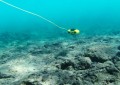 Podwodny dron Chasing Dory_12.jpg