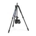statyw-manfrotto-element-mii-alu-niebieski-mkelmii4bl-bh_4.jpg