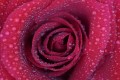 canon-ef-m-28mm-f-3.5-macro-is-stm_11.jpg