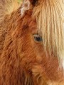 aparat-canon-powershot-sx740-hs-4.jpg