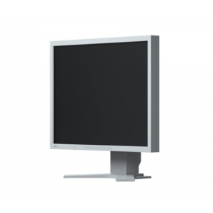 Monitor EIZO FlexScan S2133-GY