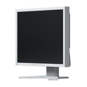 Monitor Eizo FlexScan S1934H-GY