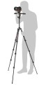 Manfrotto MKBFRLA-3W Befree Advanced 3W Live do aparatów Sony α