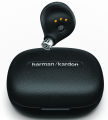 HarmanKardon_ FLYTWS_Back_view.png