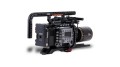 Venice-Cage-VCT-AB-Back-Legacy-2-800x450 (1).jpg