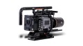 Venice-Cage-15-V-Back-Legacy-2-800x450 (1).jpg