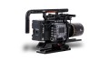 Venice-Cage-15-AB-Back-Legacy-2-800x450 (1).jpg