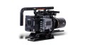 Venice-Cage-19-V-Back-Legacy-2-800x450 (1).jpg