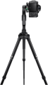 VCT-P300_7 (1).png