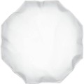 Profoto OCF Beauty Dish Silver 2'_8 (1).jpg