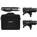 Profoto D2 1000_1000 AirTTL kit_1 (1).jpg