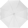 Umbrella Shallow Translucent S_2 (1).png
