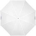 Umbrella Shallow Translucent S_4 (1).png