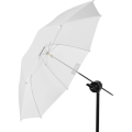 Umbrella Shallow Translucent S_5 (1).png