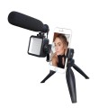 Microphone Recording with Led Light Vlogging Interview MAONO AU-CM11PL_2 (1).jpg