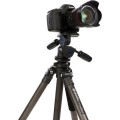 Benro TAD28AIB2 Series 2 Adventure Aluminum Tripod with IB2 Ball Head_9 (1).jpg