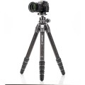 Benro Tortoise Columnless Carbon Fiber Three Series Tripod with GX35 Ball Head_23 (1).jpg