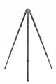 TTOR34C _2 (1).jpg