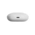 JBL TUNE 125TWS_7.png