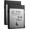 Match pack Angelbird dla Canon EOS C300 MK3_C500 MK2 1 TB - 2 PACK_1 (1).jpg