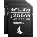 Match Pack Angelbird Canon EOS R6 SD 256 GB V90 - 2 PACK_2 (1).jpg