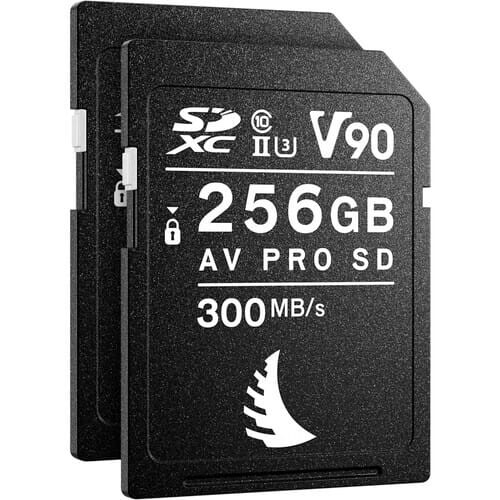 Match Pack Sony Alpha 7_Alpha 9 SD 256 GB V90 - 2 PACK_1 (1).jpg