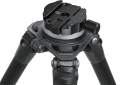 06_113370.png
