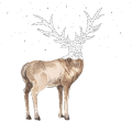 h640p-accurate-pic.png