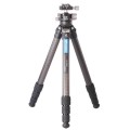 Statyw Leofoto Ranger LS-324C+LH-40_1 (1).jpg