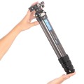 Statyw Leofoto Ranger LS-224C+LH-25_6 (1).jpg