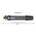 LS-284CVL_4 (1).jpg