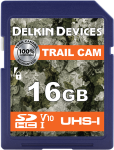 Karta pamięci Delkin Trail Cam SDHC V10 R100/W30 16GB