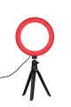 LED Ring Light Full RGB 8inches - lower-res (5).jpg