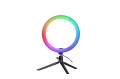 LED Ring Light Full RGB 10inches - lower res (6).jpg