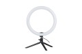 LED Ring Light Full RGB 12inches - lower res (12).jpg