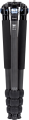 02_113788.png