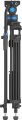 6_111881.png