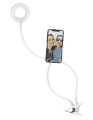 05_116299.png