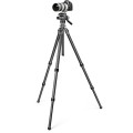 Gitzo GHF2W Głowica 2W